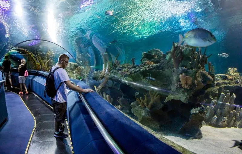 Family visiting Hurghada Grand Aquarium excursions in Hurghada